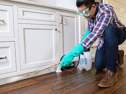 Best Real Estate Pest Inspections  in Milan, OH